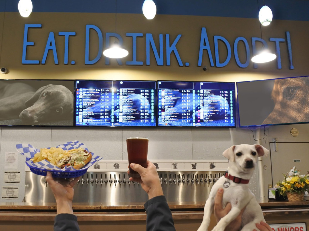 Fido's - Beer Dogs Pizza