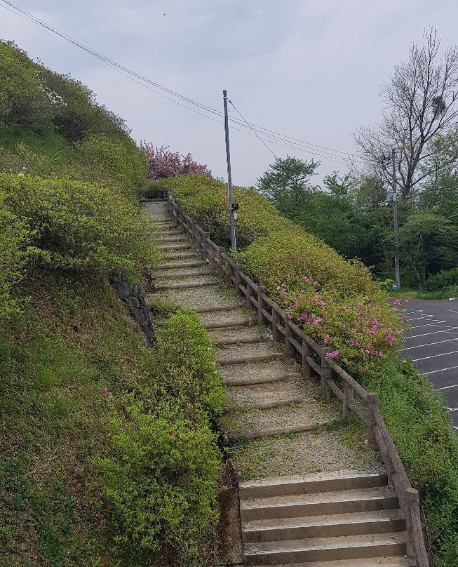 Mt.Tomisu Park-大洲市必去景点