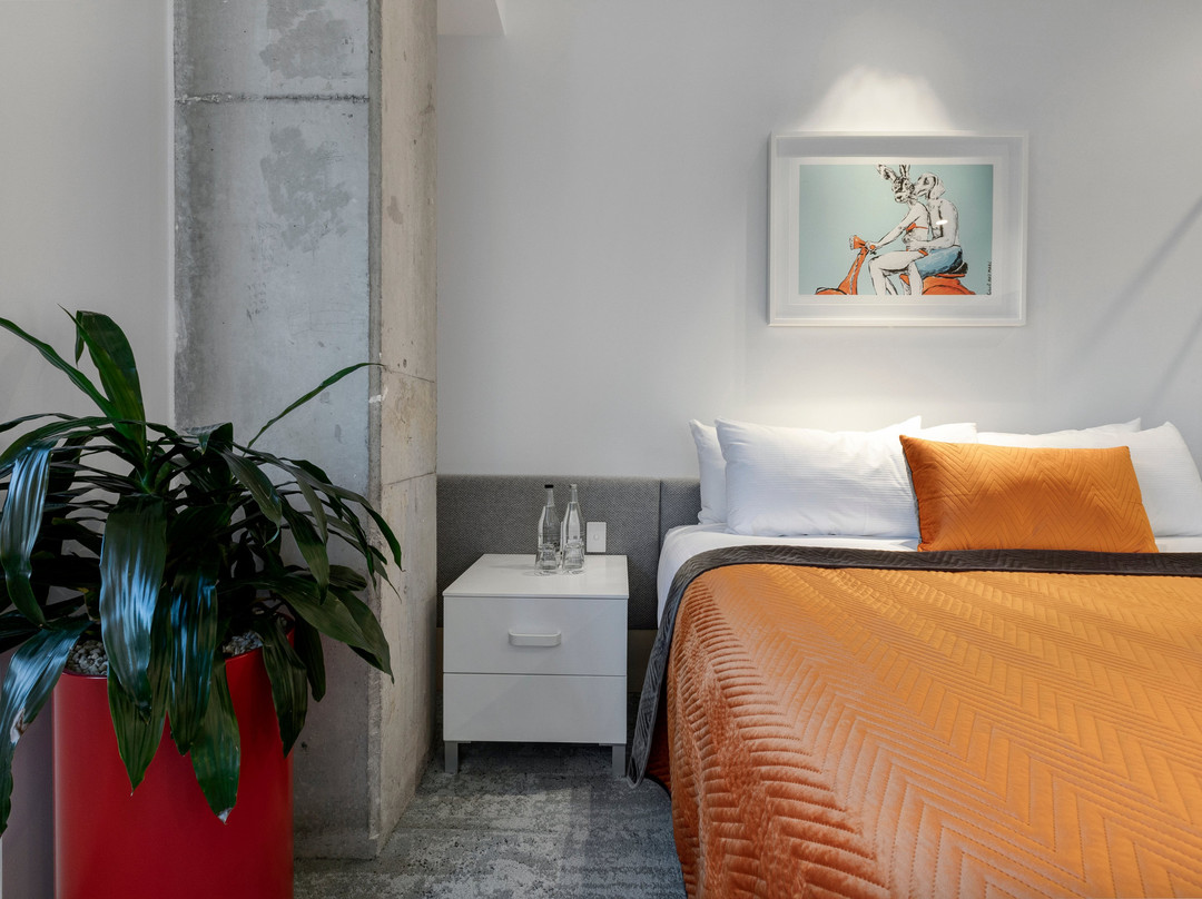 Kafnu Alexandria主图