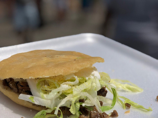 Fiesta del Sol-芝加哥必去景点