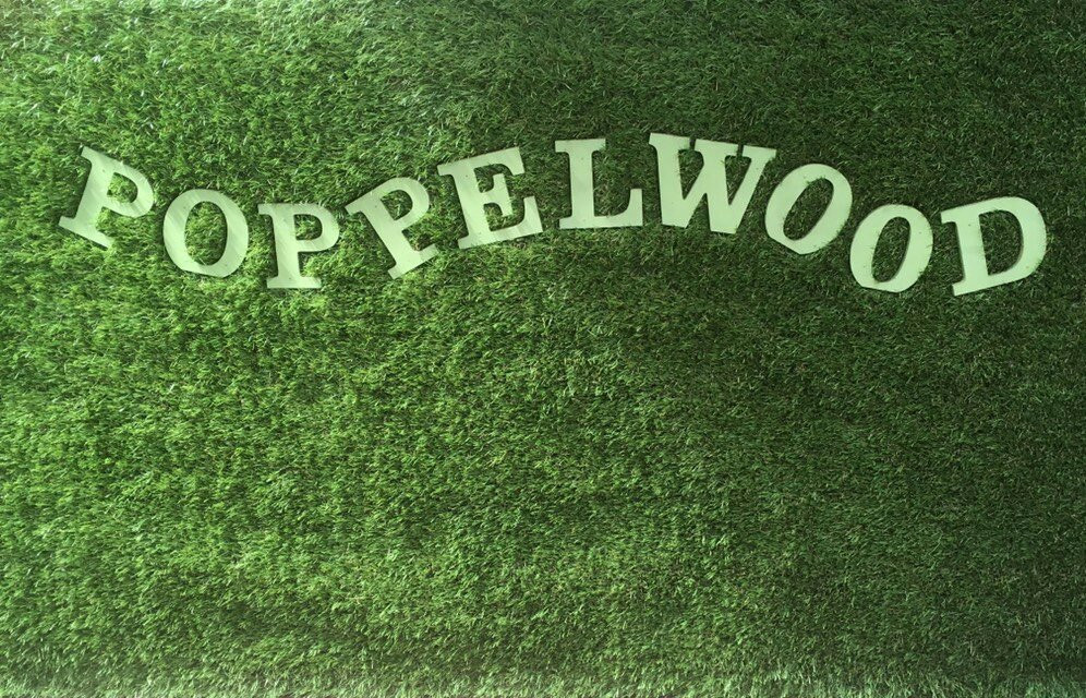 Poppelwood景点图片