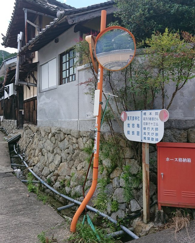 Takamahiko Shrine景点图片