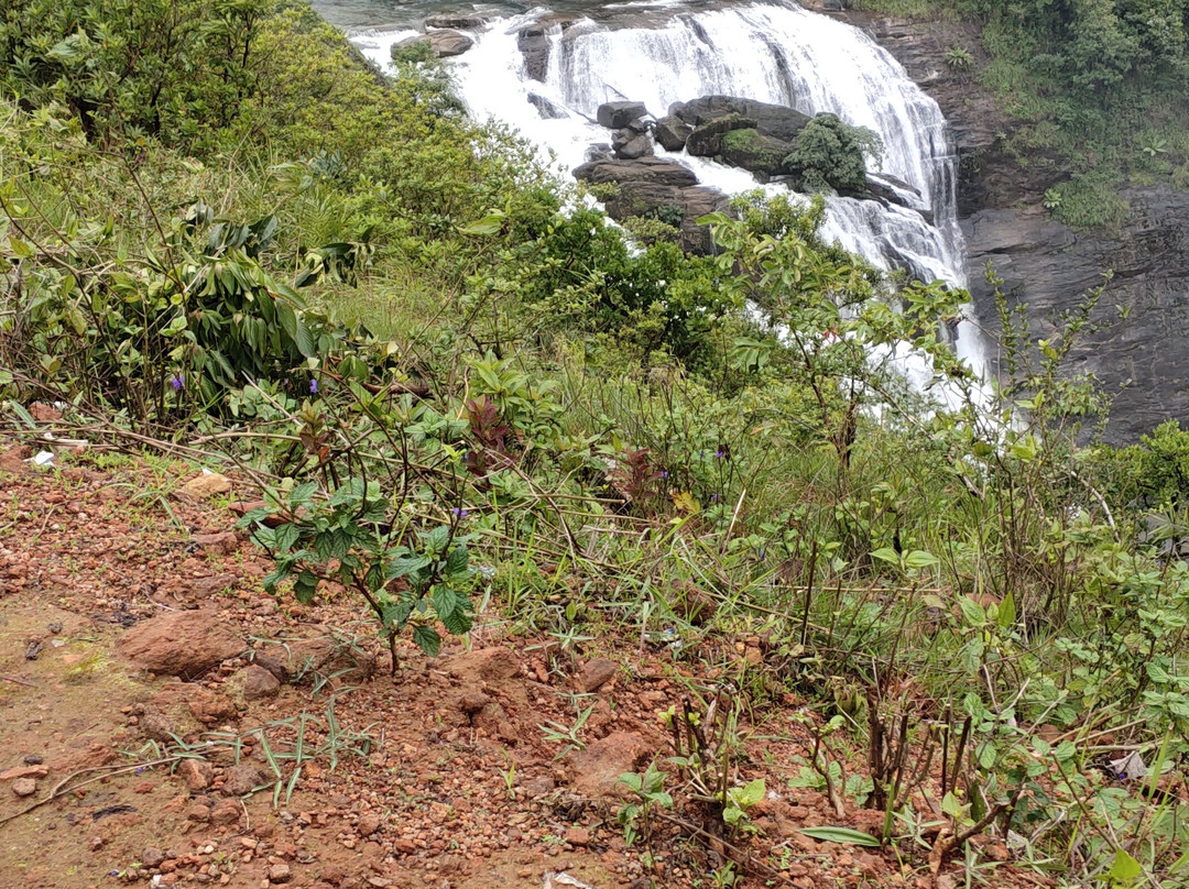 Mallalli Falls景点图片