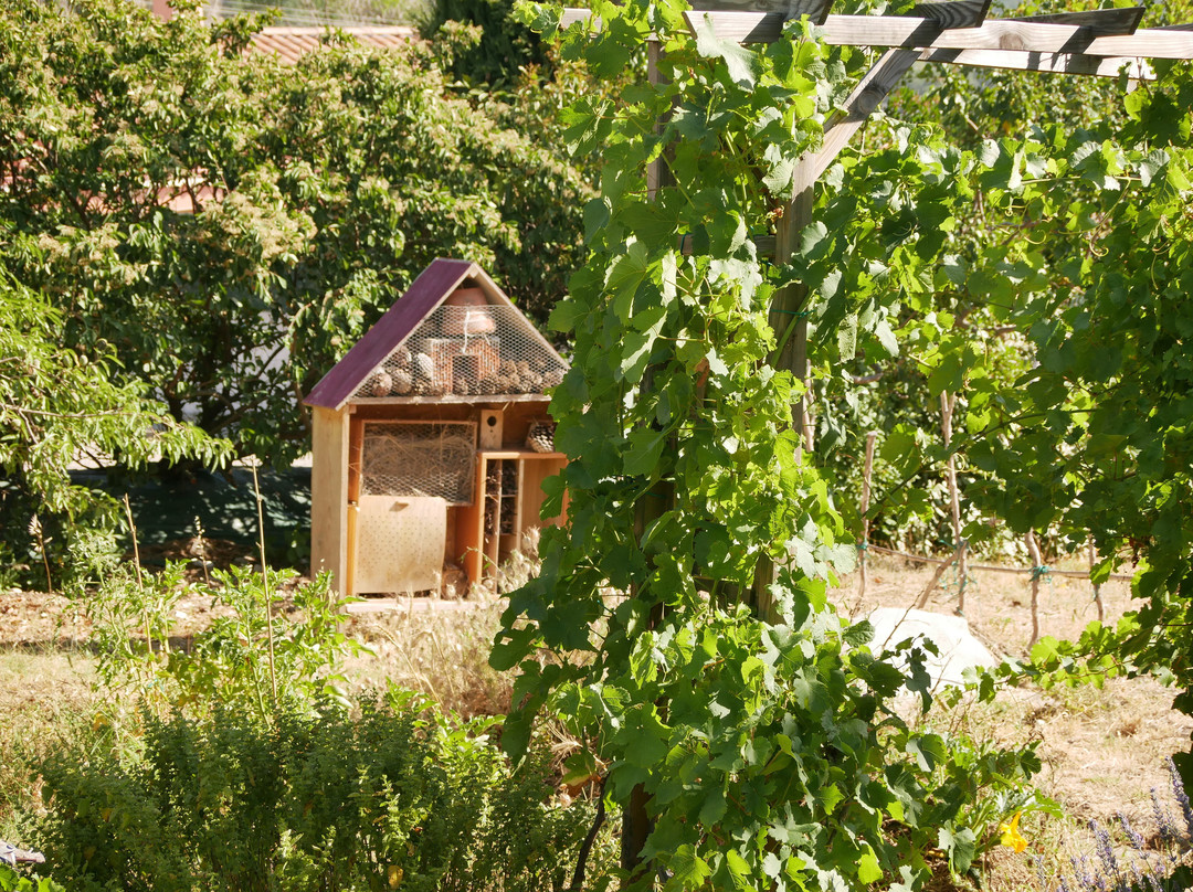 Le Grenier des Couleurs-Marsanne必去景点