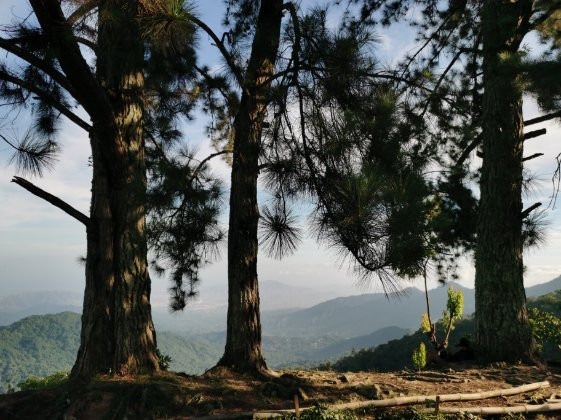 Tovar Extreme Adventure-Minca必去景点