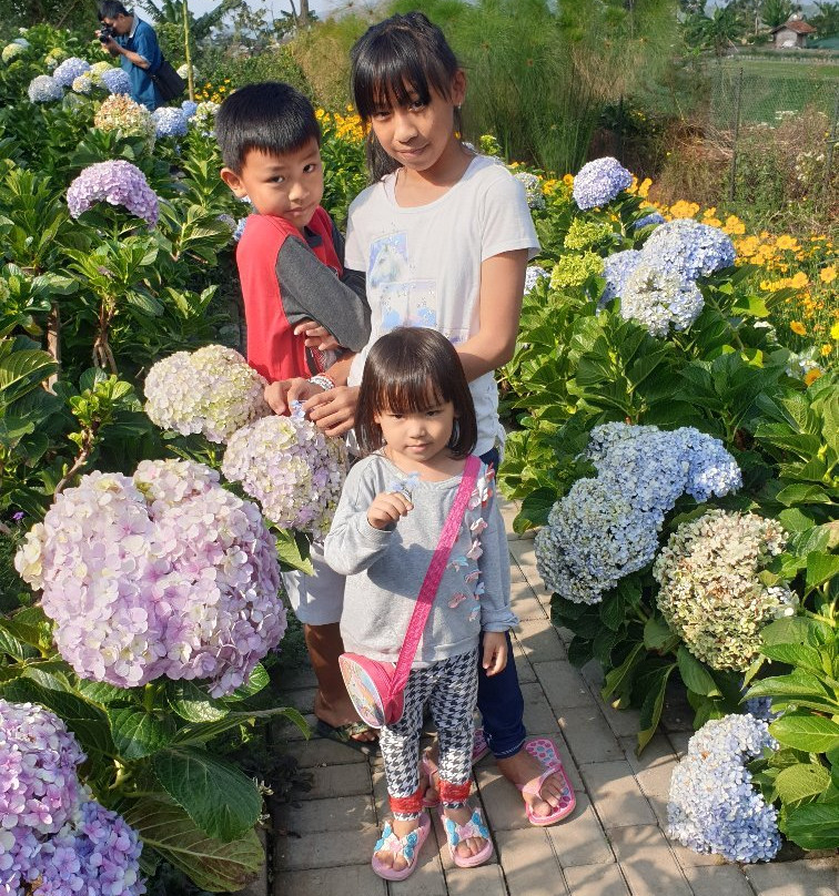 Happy Farm