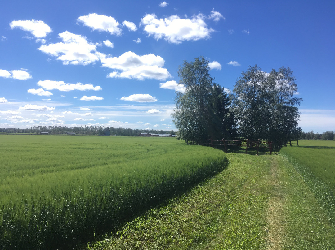Leväluhta - Iron Age Water burial site