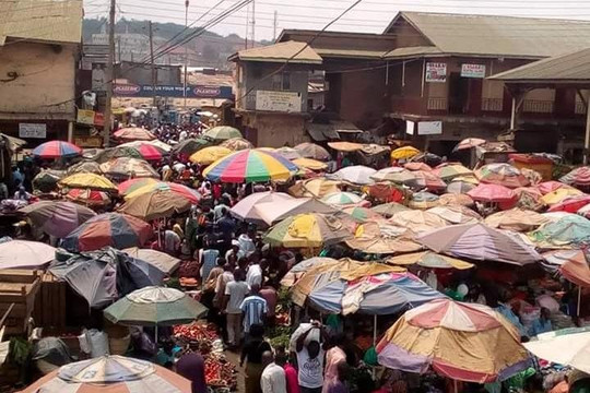 Ondaba Africa Safaris