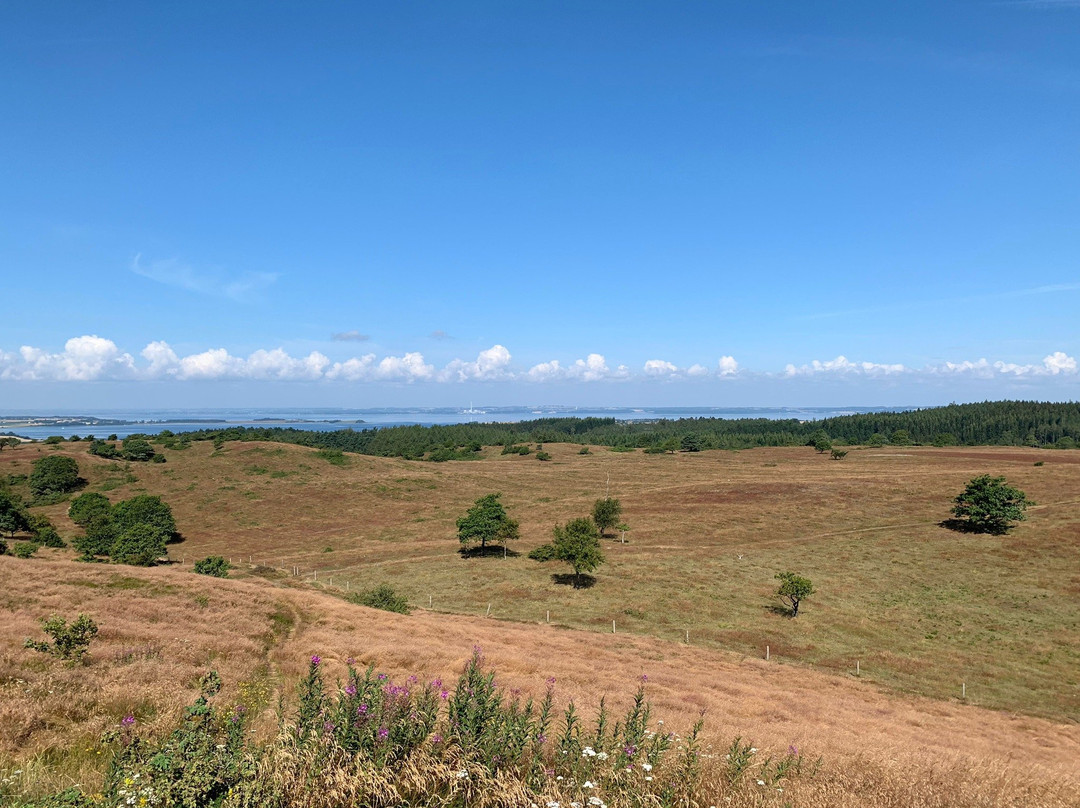 Nationalpark Mols Bjerge景点图片