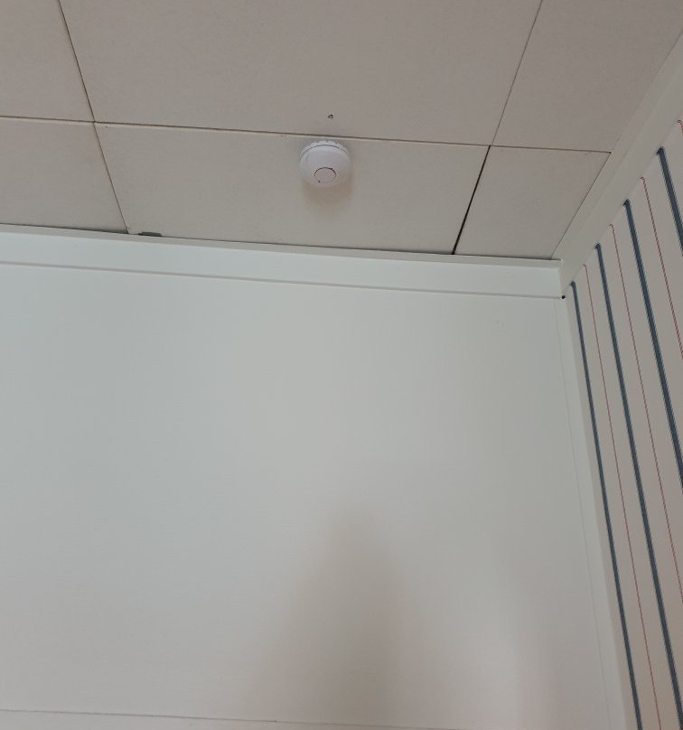 Best Western Plus Edward Hotel主图
