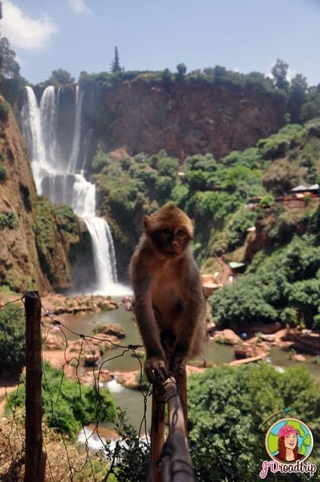 Happy Marrakech Tours-马拉喀什必去景点