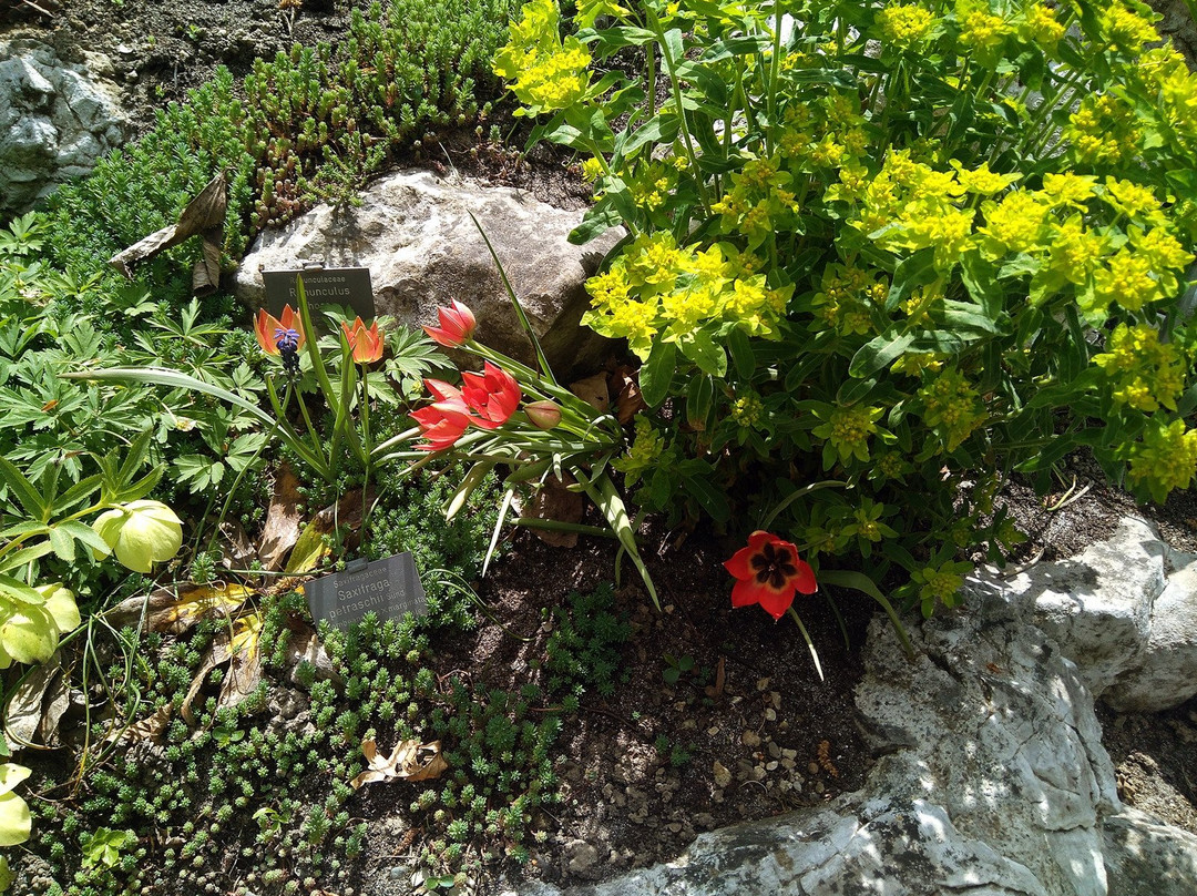 Jardin Botanique Lausanne-洛桑必去景点