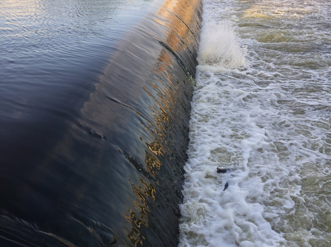 Fish Ladder-大急流市必去景点