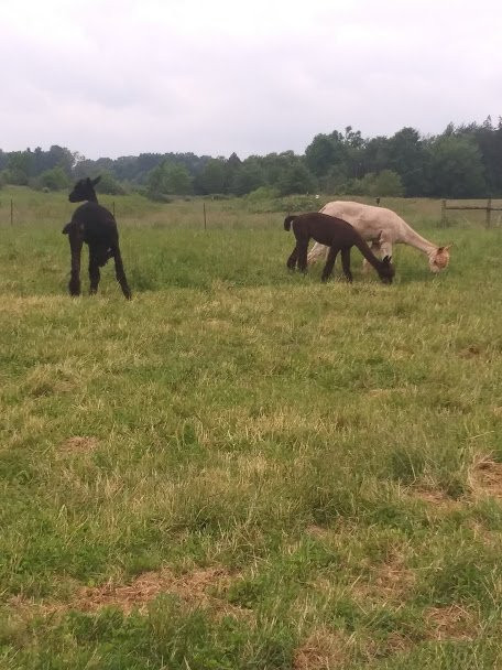 MetroParks Farm-Canfield必去景点