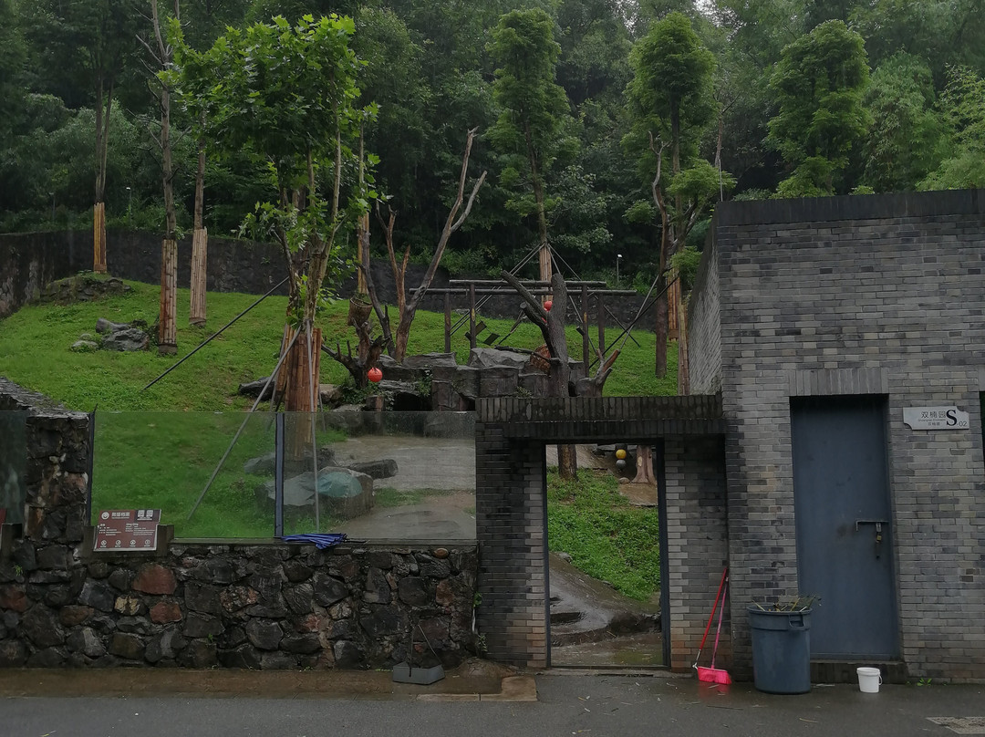 大熊猫保护研究中心都江堰基地-都江堰市必去景点