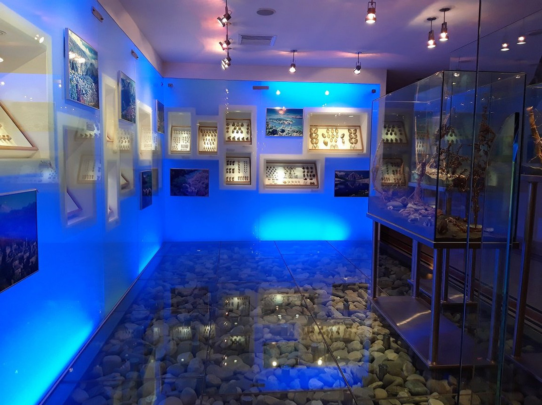 Hotel Du Lac Congress Center & Spa主图