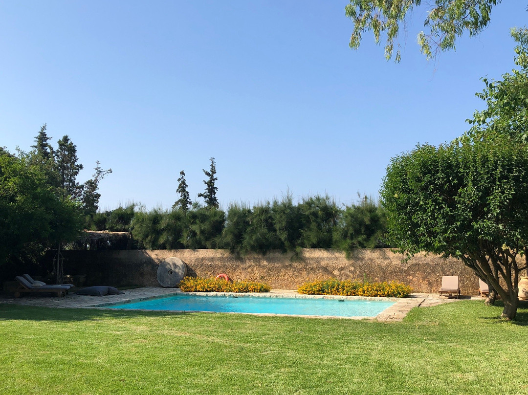 Metohi Kindelis主图