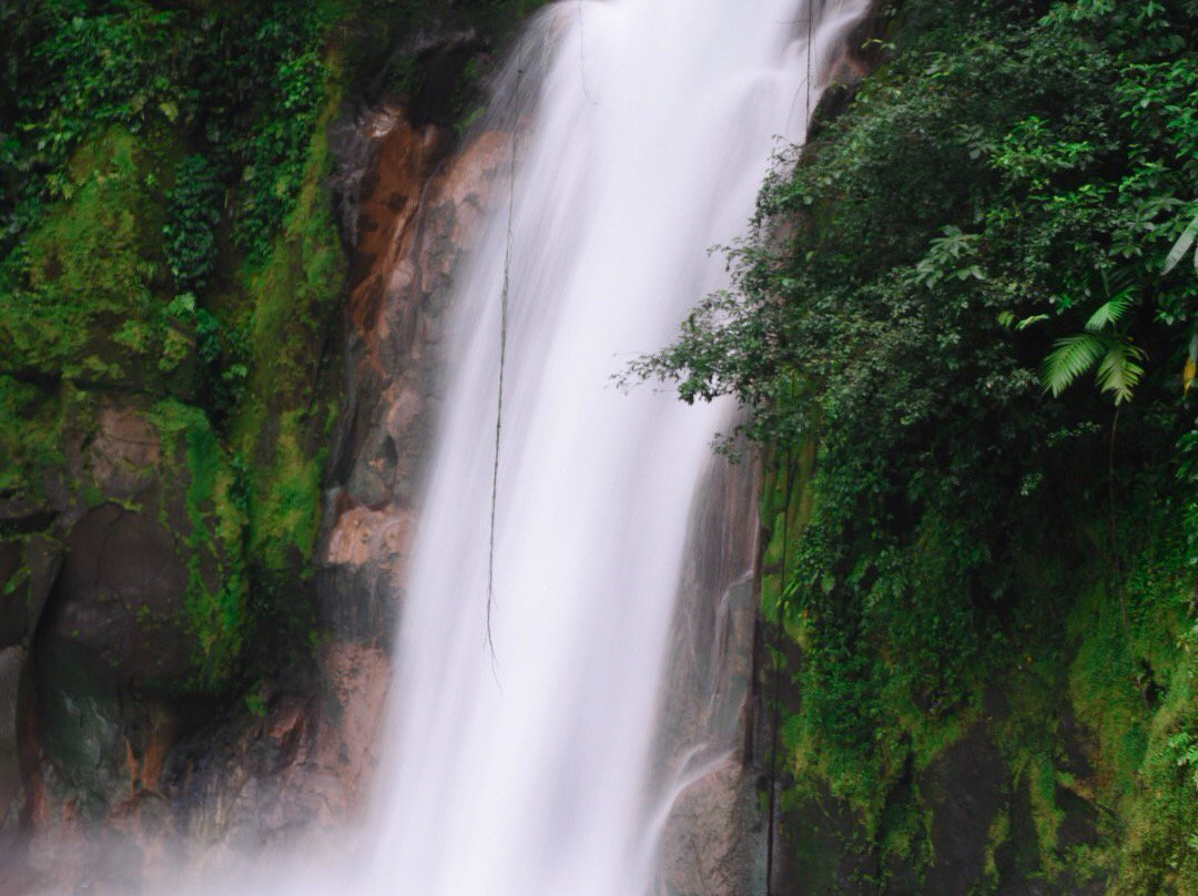 El Coco Tours景点图片