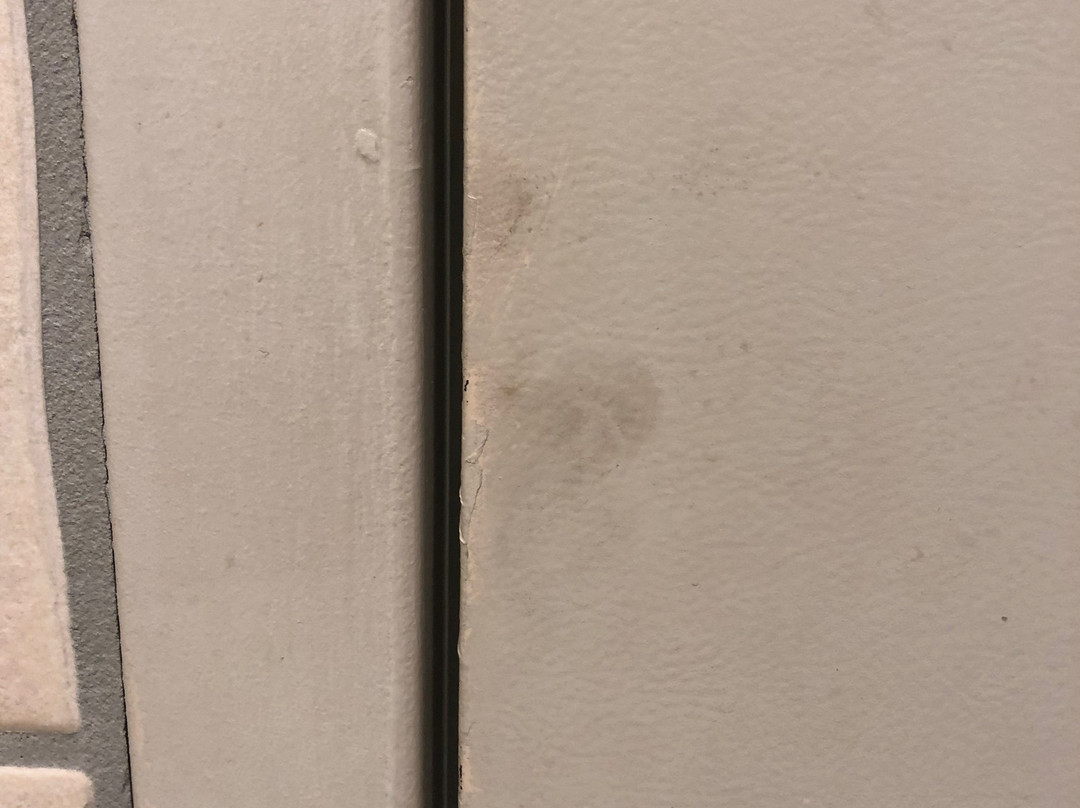 Bismarck Hotel and Conference Center主图