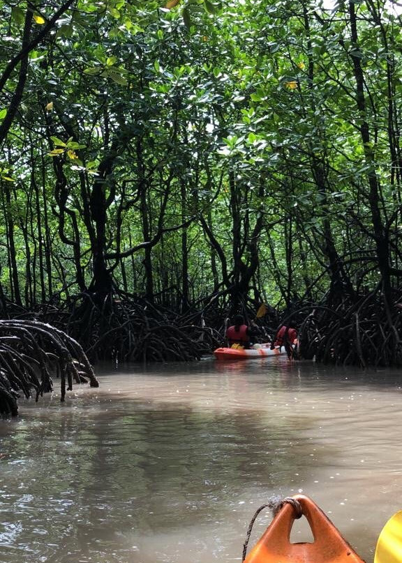 Langkawi Kayaking Adventure-兰卡威必去景点