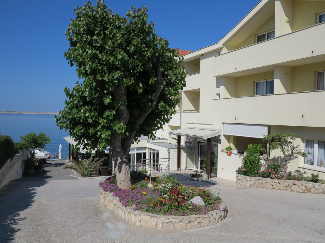 Hotel Vila 4M主图
