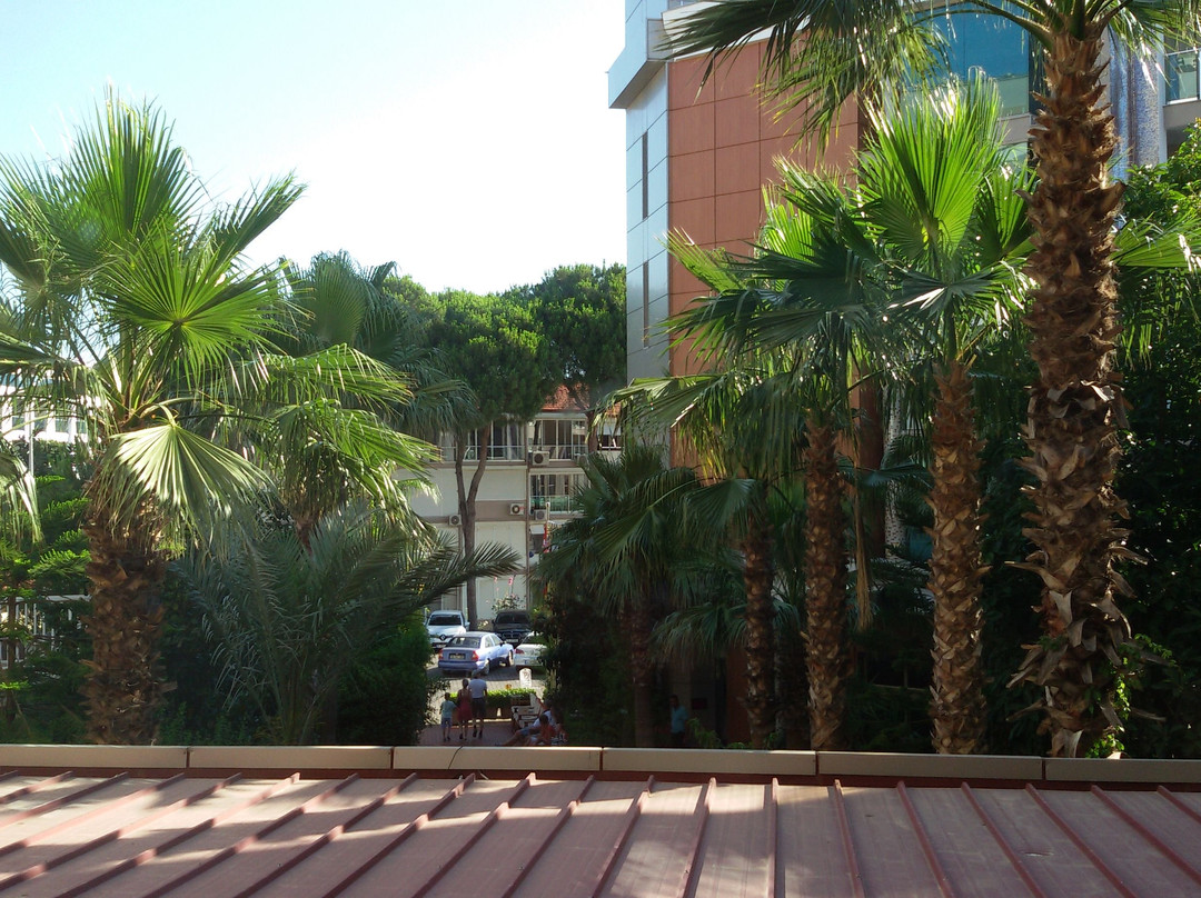 Paşa Beach Hotel主图