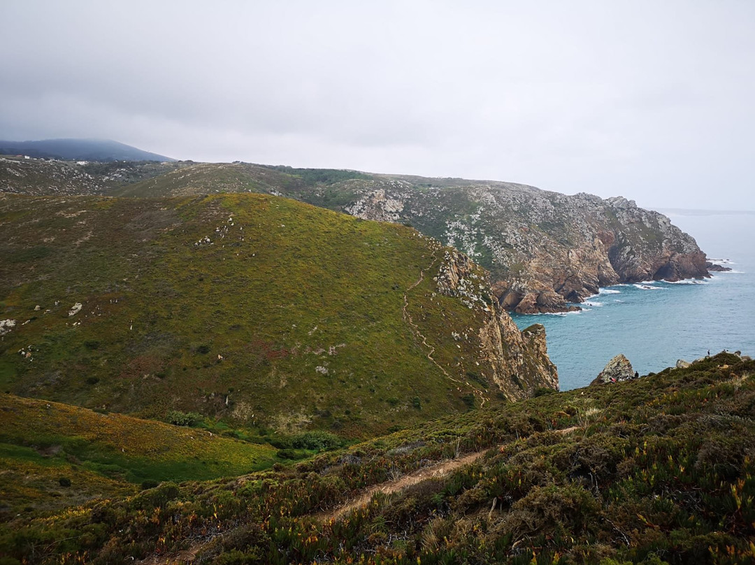 Mr Driver-塞新布拉必去景点