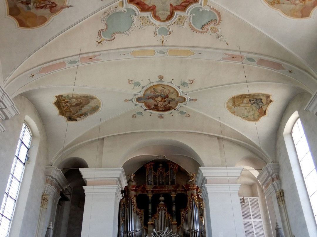 Pfarrkirche St. Martin景点图片