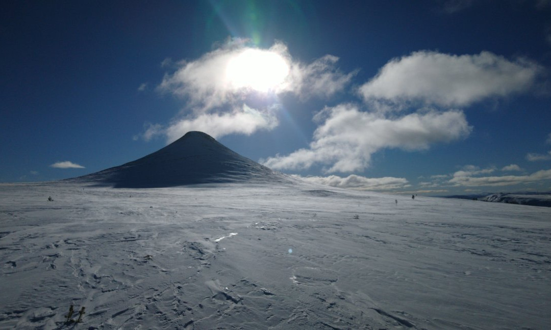 Experience Grövelsjön-Grovelsjon必去景点