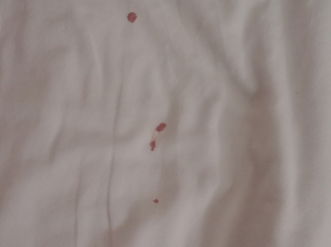 Quality Inn & Suites Mason主图