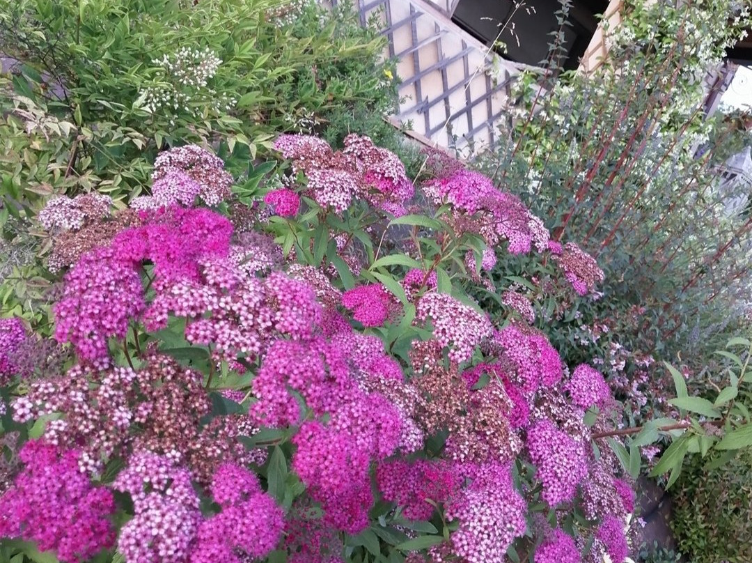 Alle Vignole B&B主图