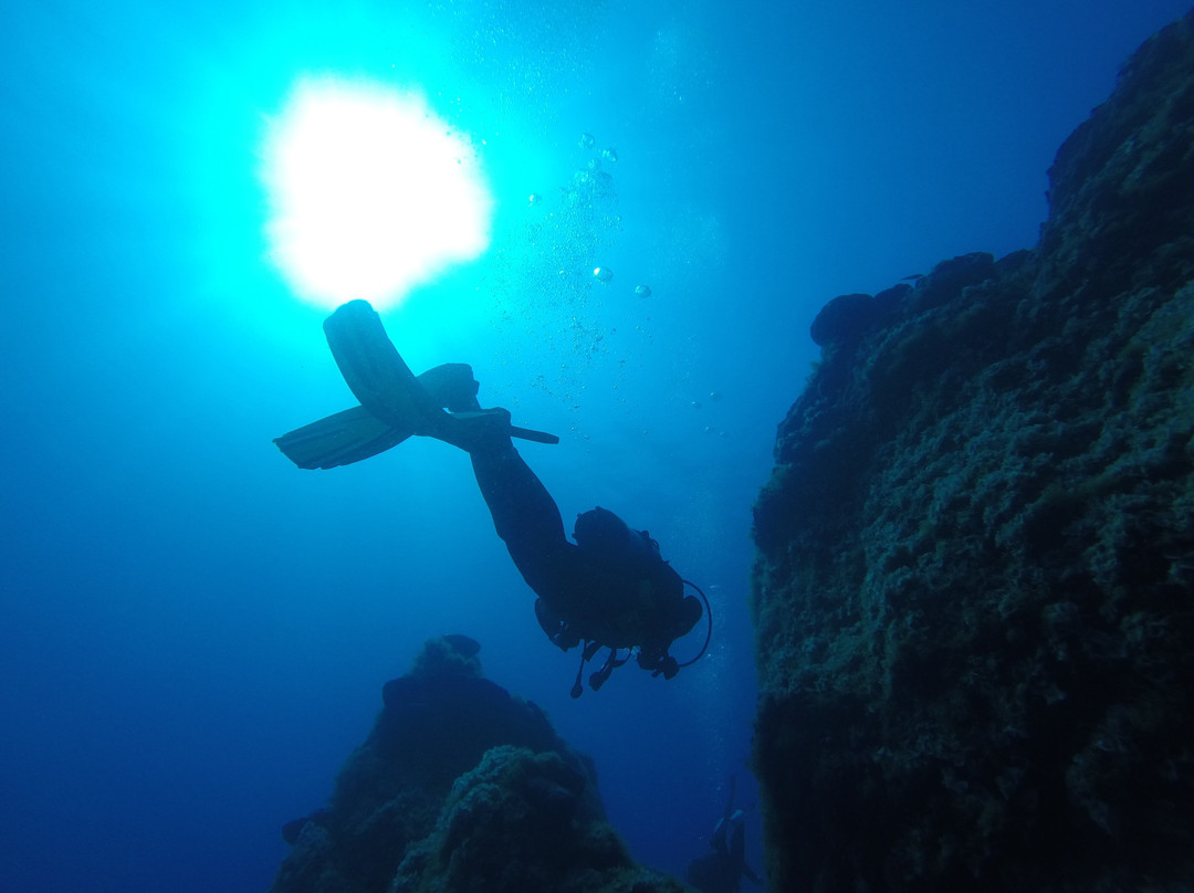 Meltemi Dive Centre-埃欧斯岛必去景点
