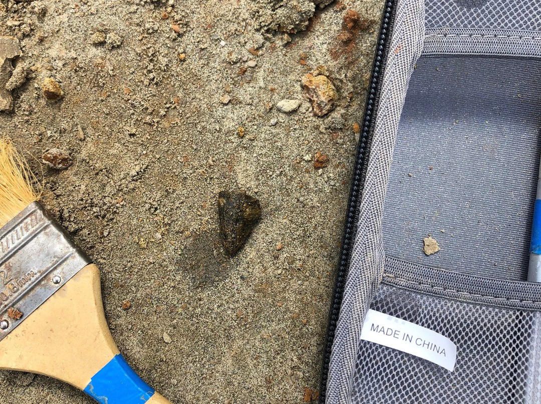 PaleoAdventures-Belle Fourche必去景点