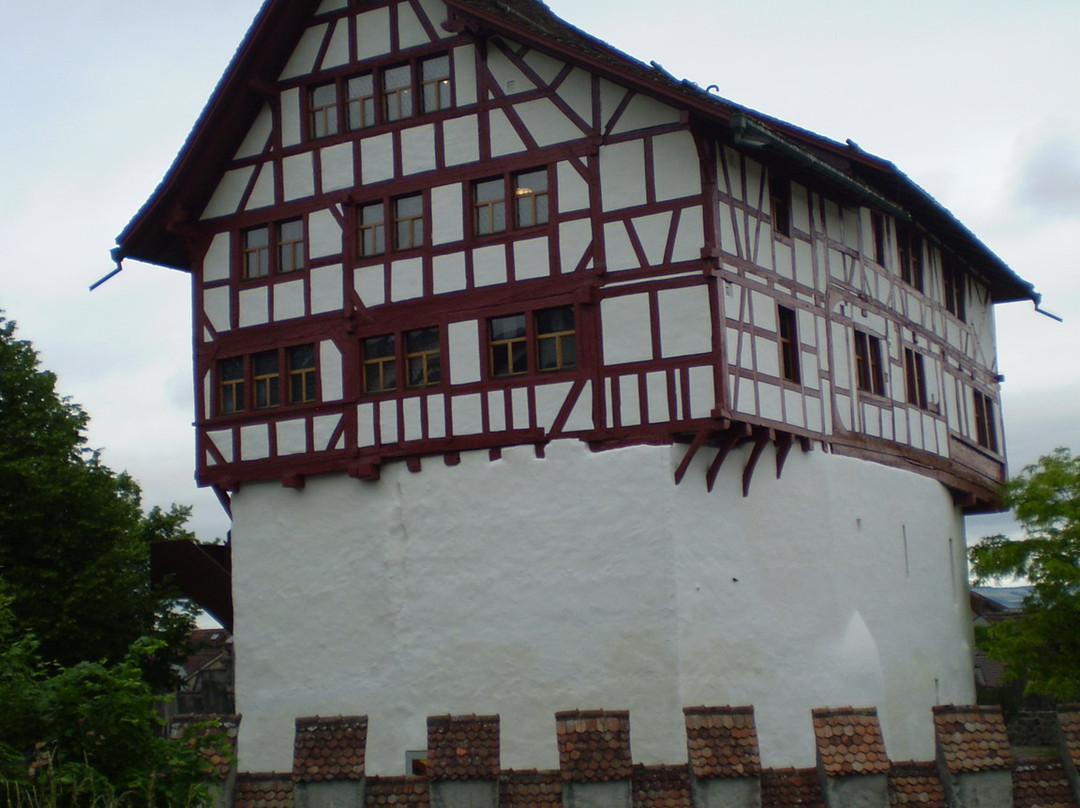 Museum Burg Zug-楚格必去景点