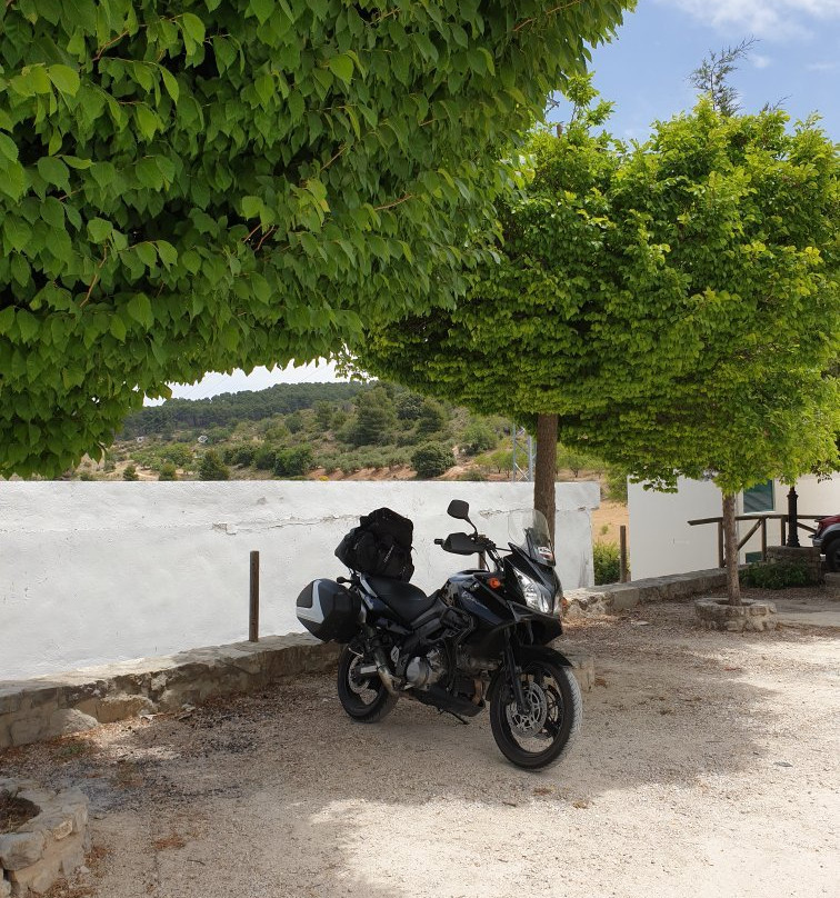 Hotel Magina Plaza主图