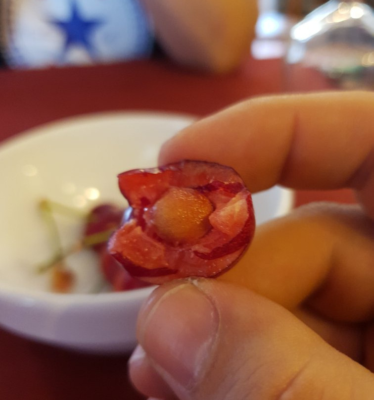 Hotel Magina Plaza主图