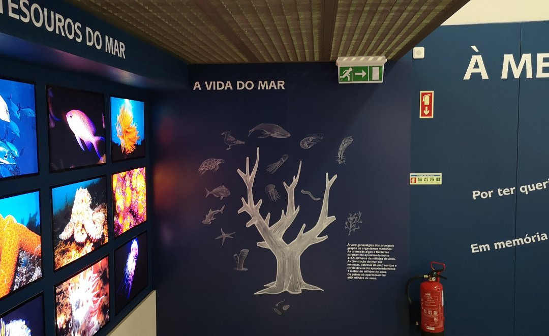 Museu do Mar e da Terra da Carrapateira景点图片