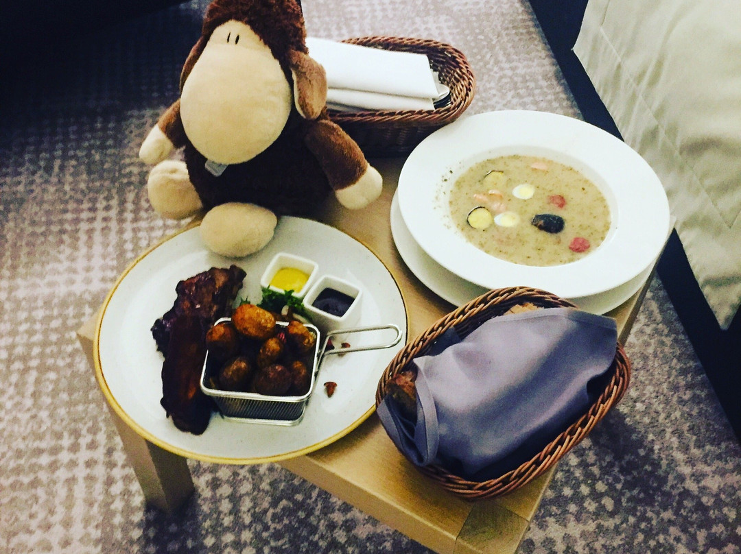 Hotel Sokol Wellness & SPA主图