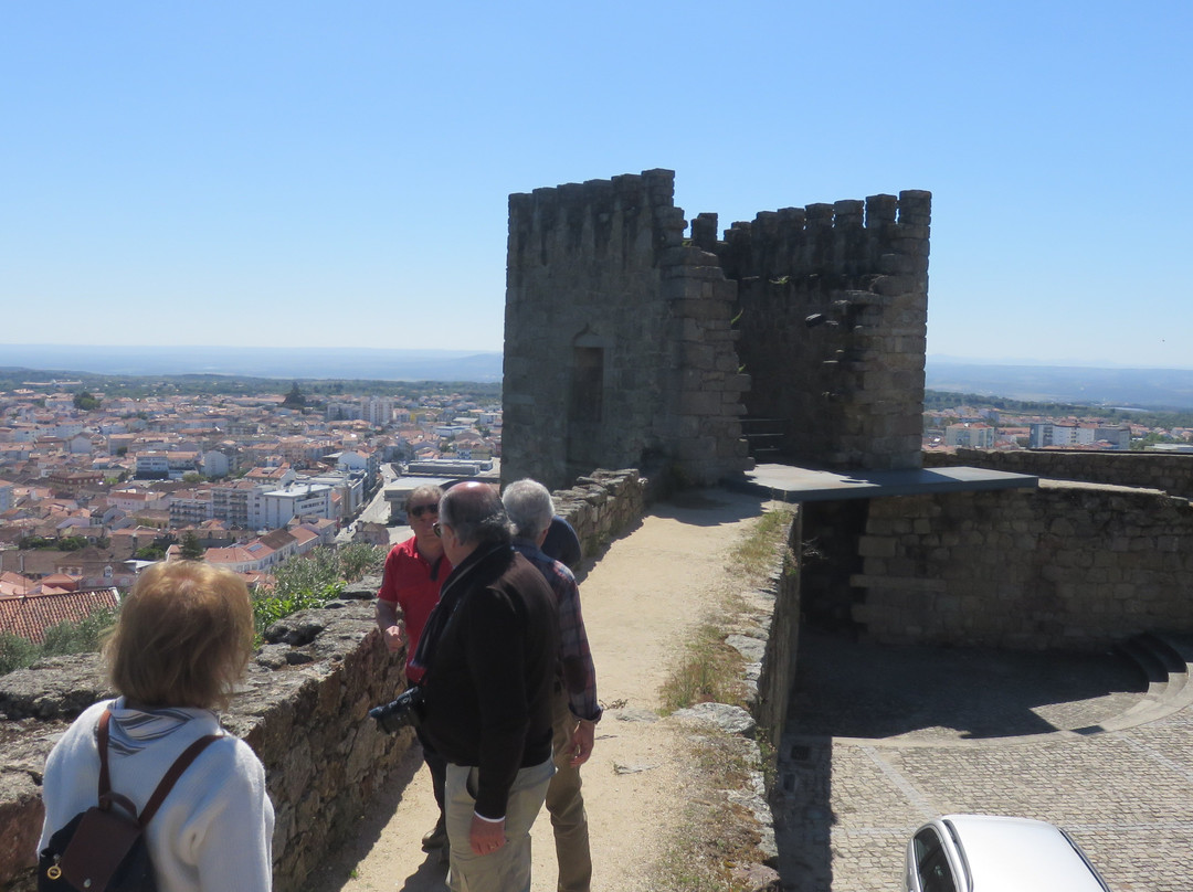 Castle of Castelo Branco景点图片