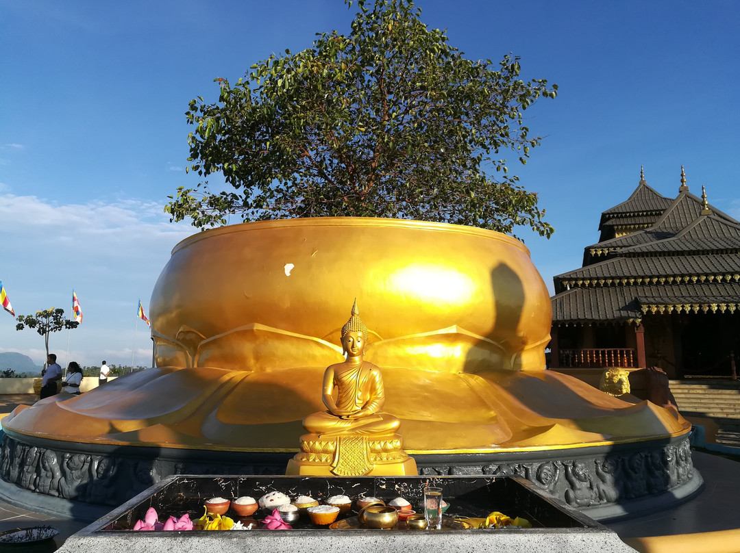 Nelligala International Buddhist Center景点图片