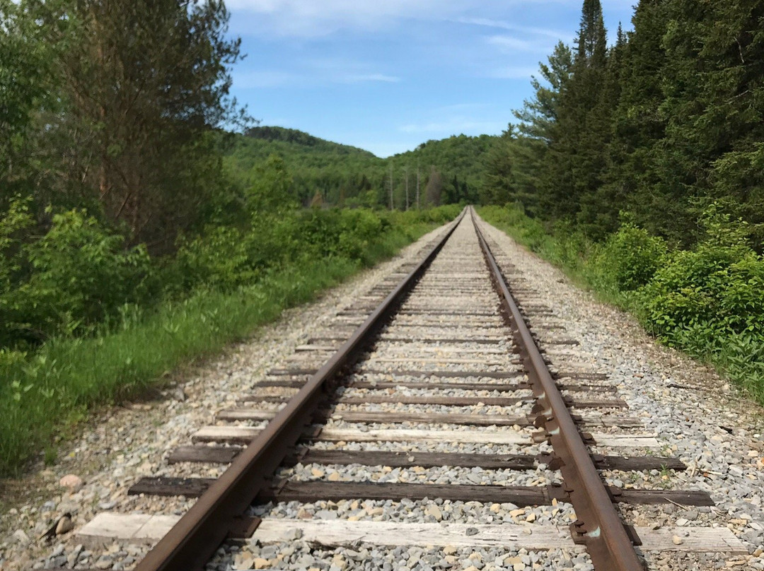 Adirondack Scenic Railroad景点图片