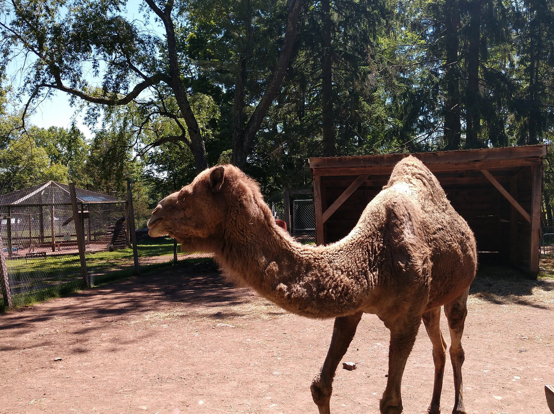 Bailiwick Animal Park-Catskill必去景点