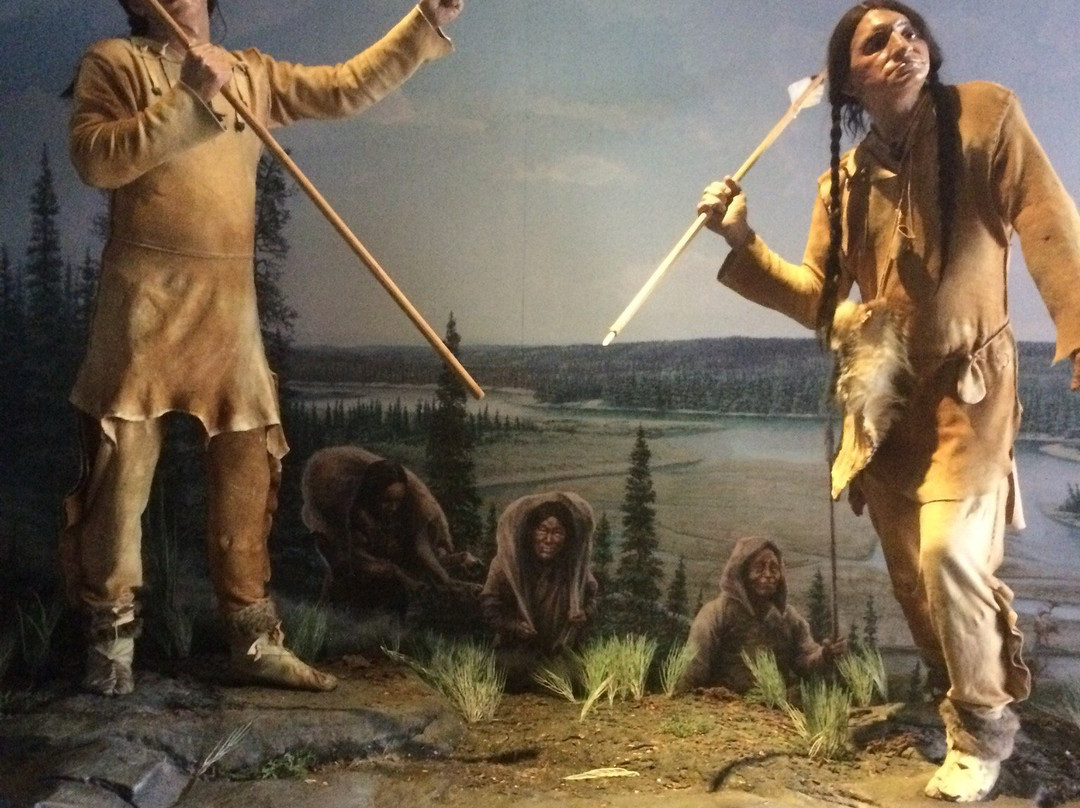 Kenosha Public Museum-基诺沙必去景点