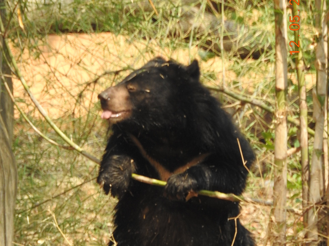 Sri Chamarajendra Zoological Gardens-迈索尔必去景点