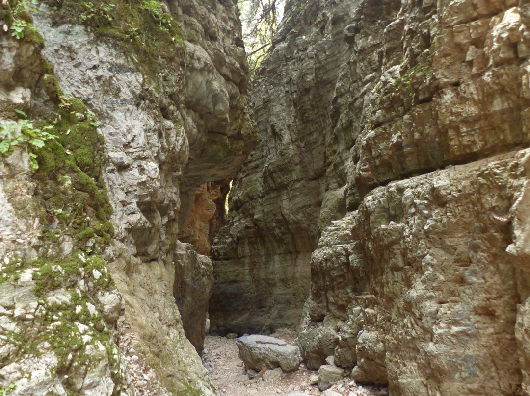 Imbros Gorge with Elena Tours景点图片