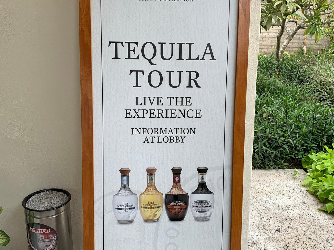 Tequila Tour Vidanta-新瓦雅塔必去景点