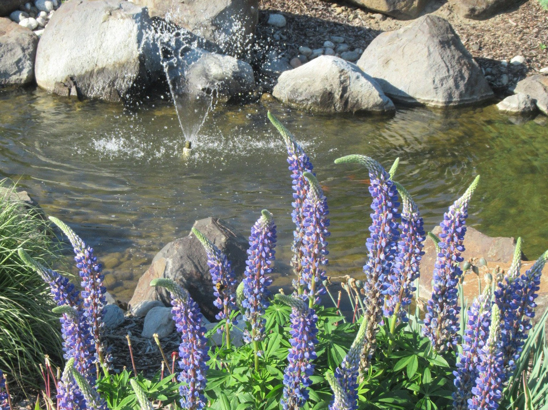 Coeur D'Alene Casino Resort Hotel主图