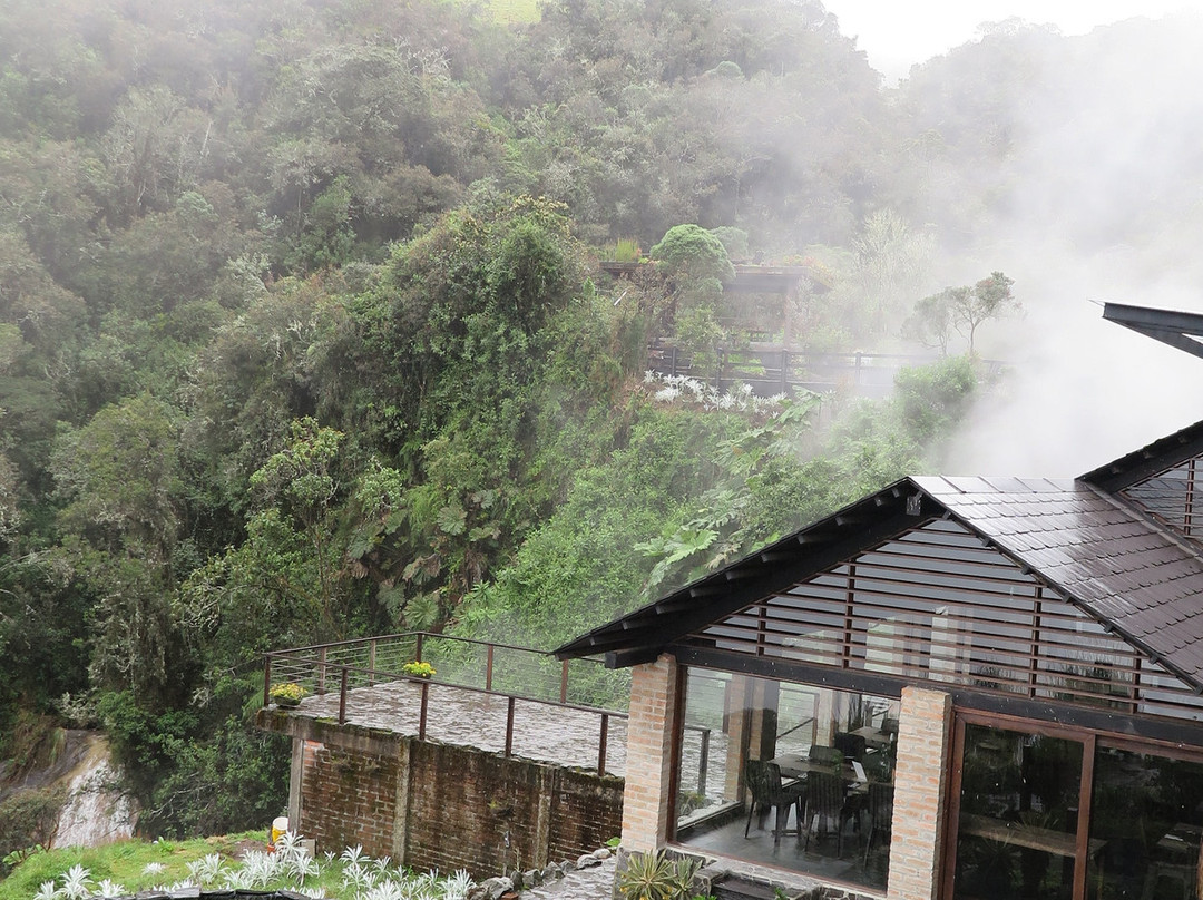 Hotel Termales Del Ruiz主图