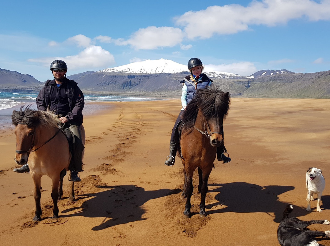 Stori Kambur Horse Rental-Snaefellsbaer必去景点