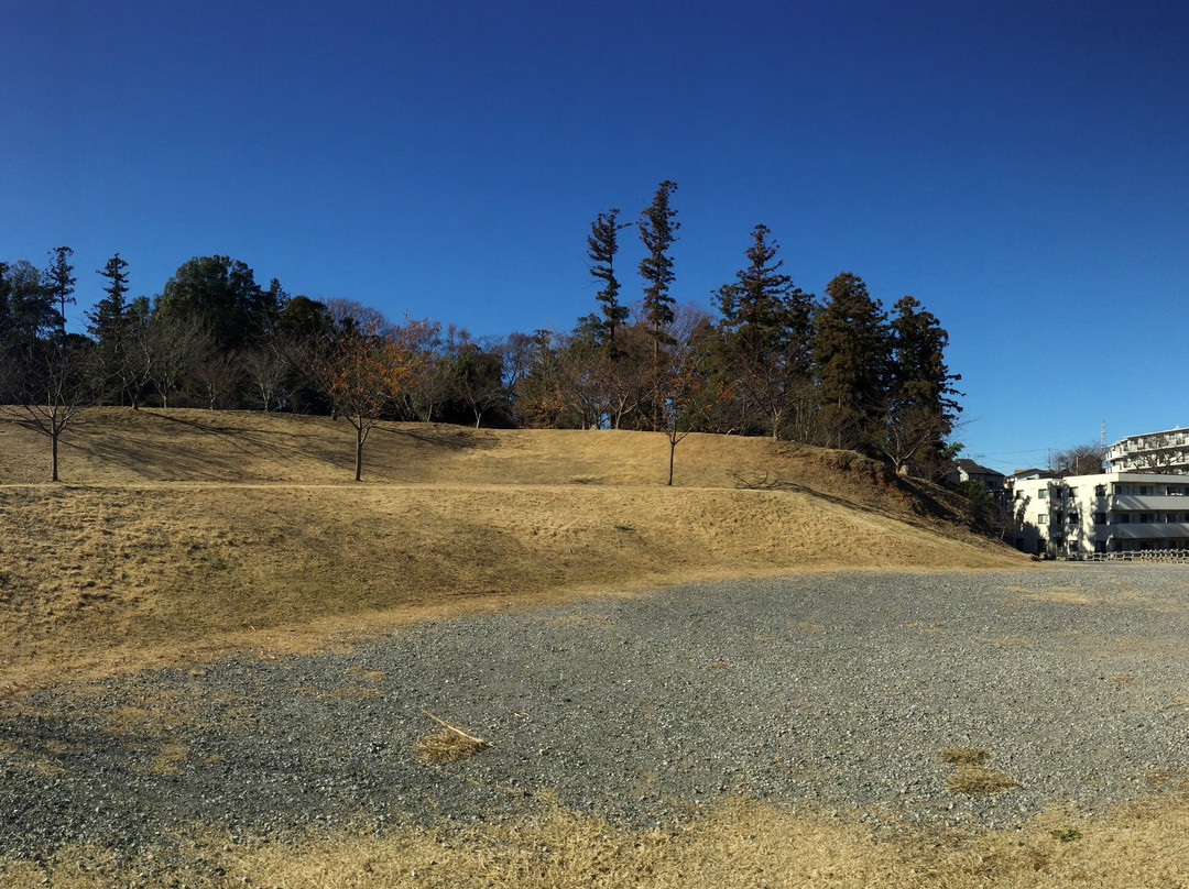 Matsugasakijo Ruins景点图片